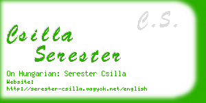 csilla serester business card